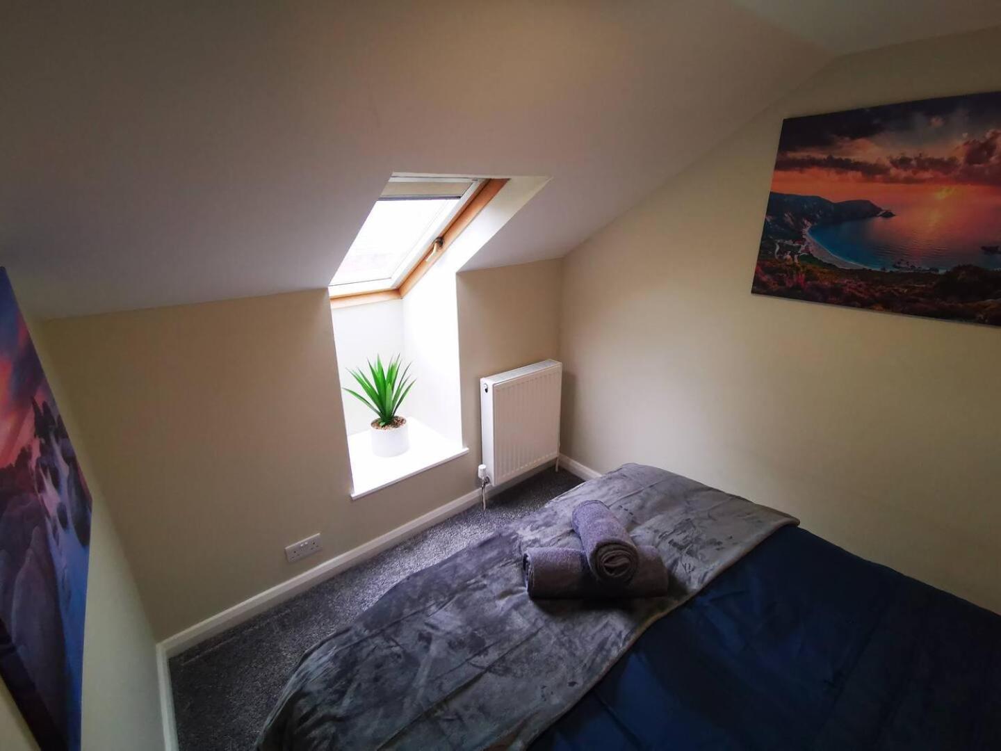 4Br Modern Botanic House Villa Belfast Buitenkant foto