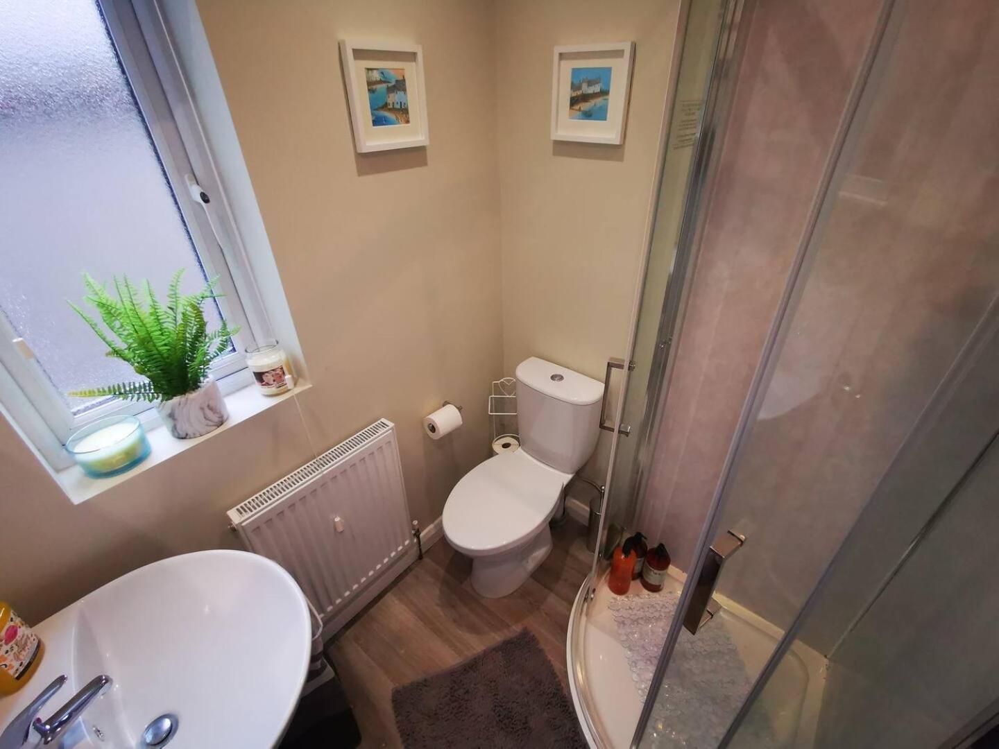 4Br Modern Botanic House Villa Belfast Buitenkant foto