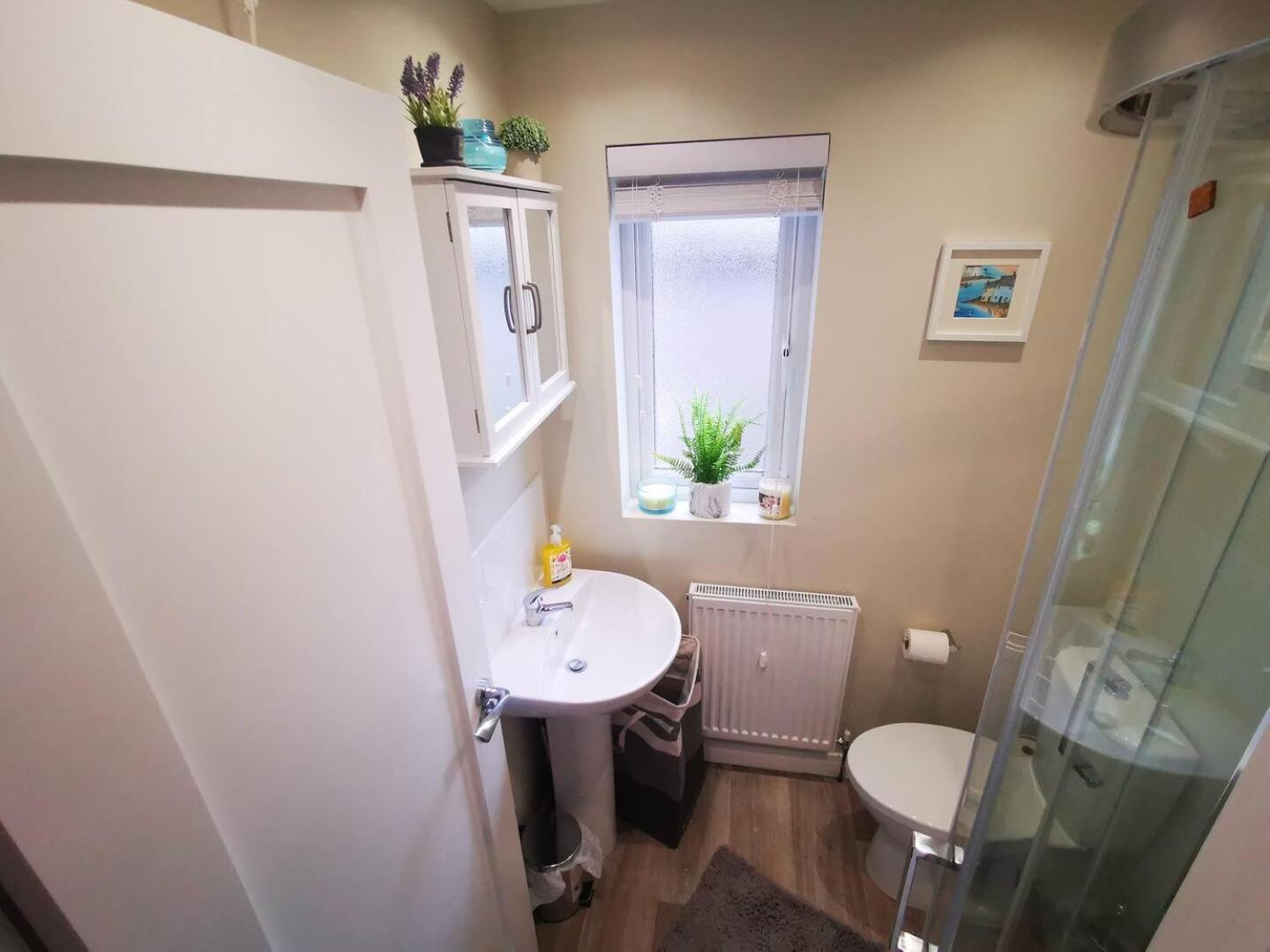 4Br Modern Botanic House Villa Belfast Buitenkant foto