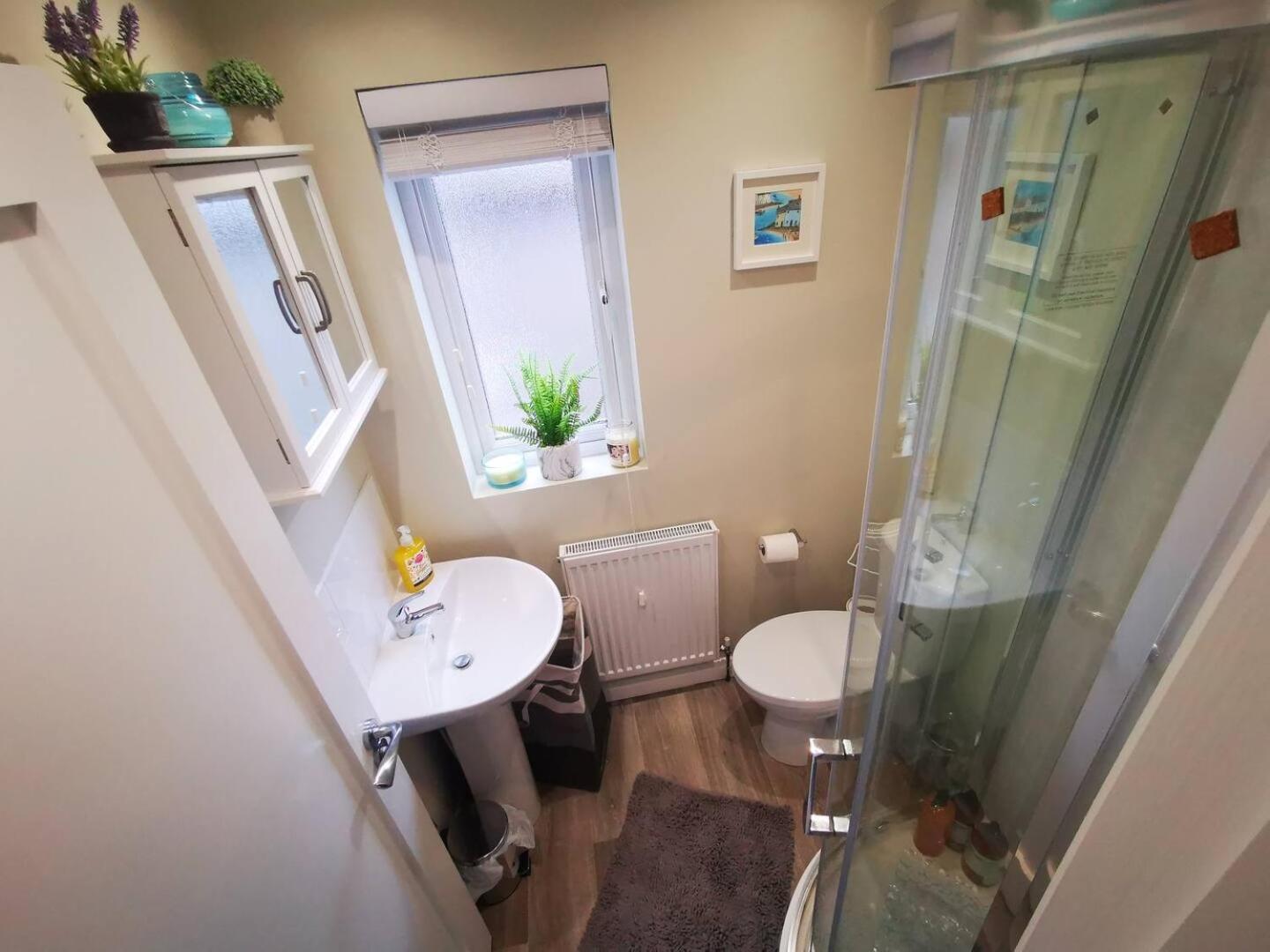 4Br Modern Botanic House Villa Belfast Buitenkant foto
