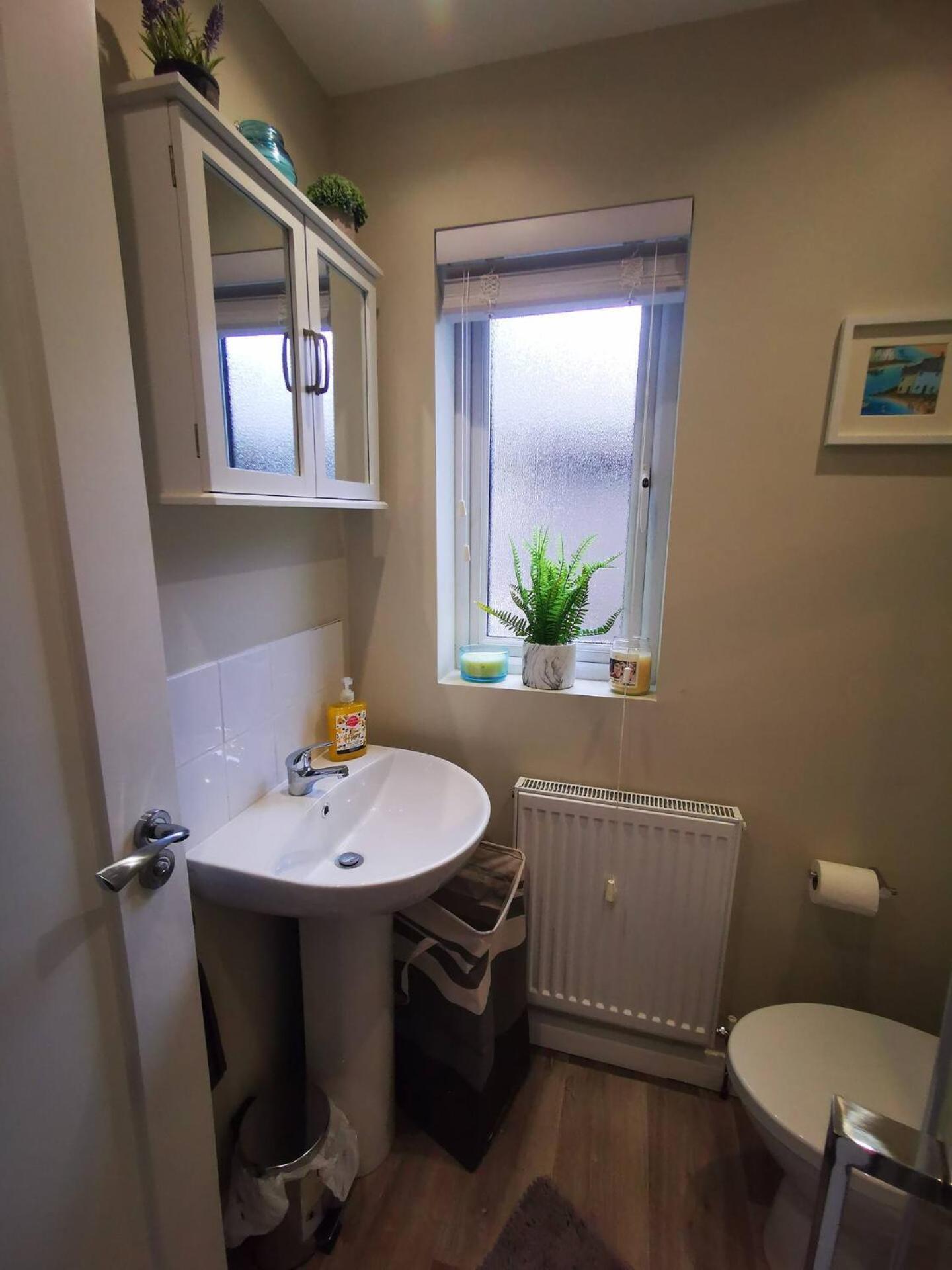 4Br Modern Botanic House Villa Belfast Buitenkant foto